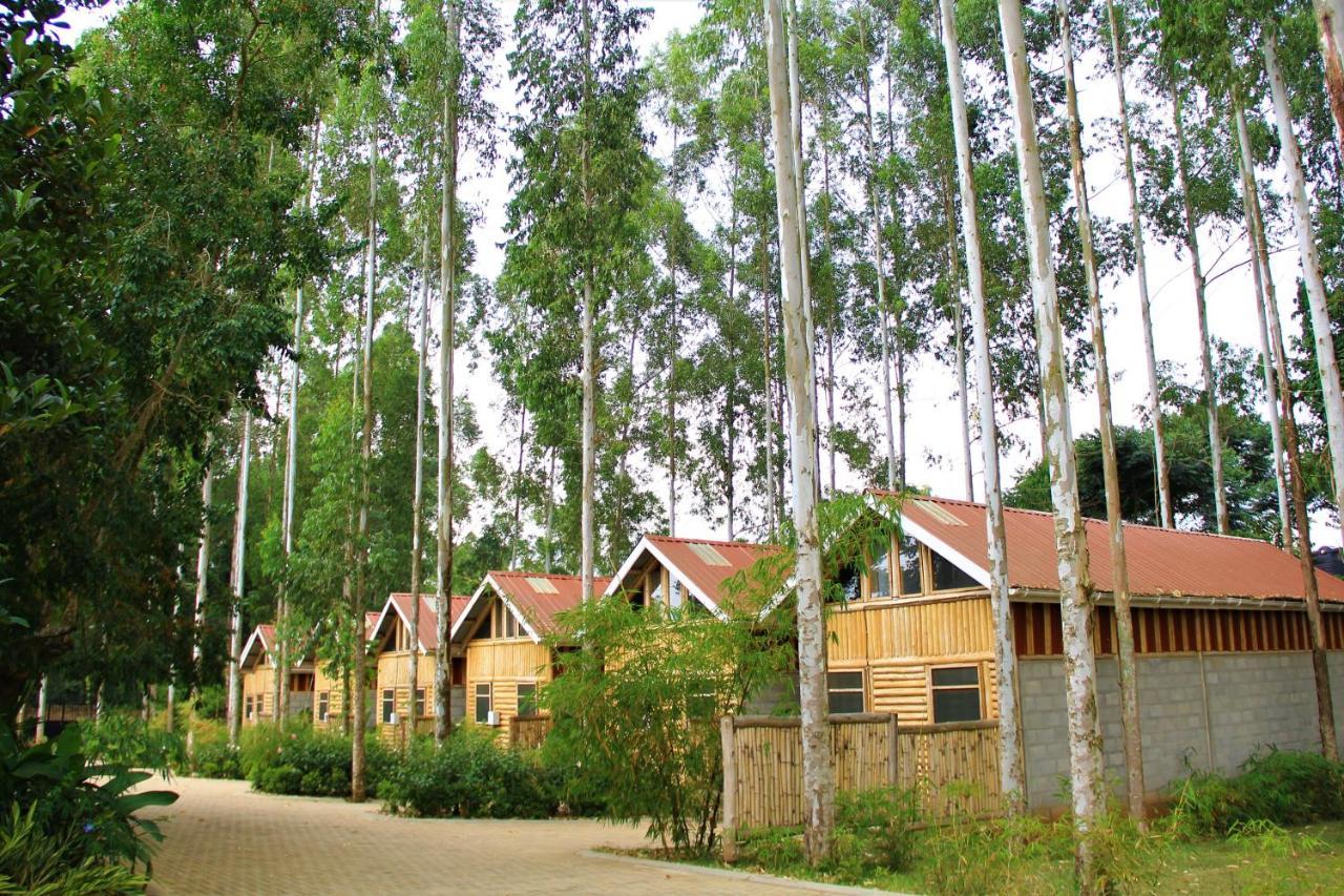 The Great Outdoors Uganda Hotel Vumba Exterior photo